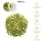 50 Carats Mixed Gems Natural Loose Gemstones | 100% Natural Loose Gemstones bulk| Grade A+ (natural inclusions) |Hand Cut and Polished | 20-30 pieces Gemstone Wholesale Lot by GM GemMartUSA